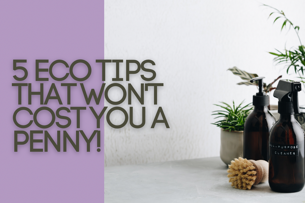 Eco tips that don’t cost a Penny 